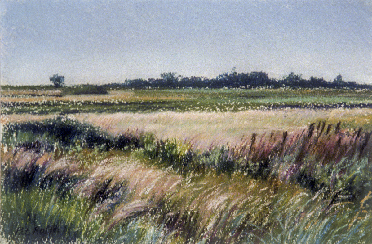 Marsh Grasses by Pat Ralph 