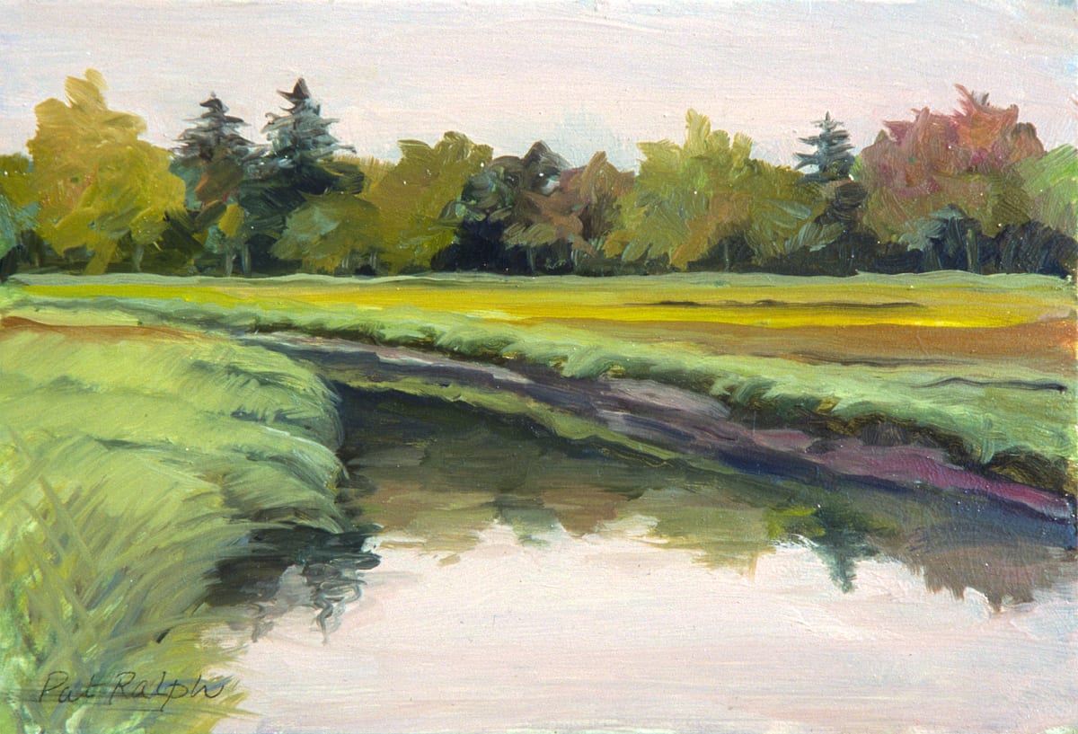 Meadow Marsh 