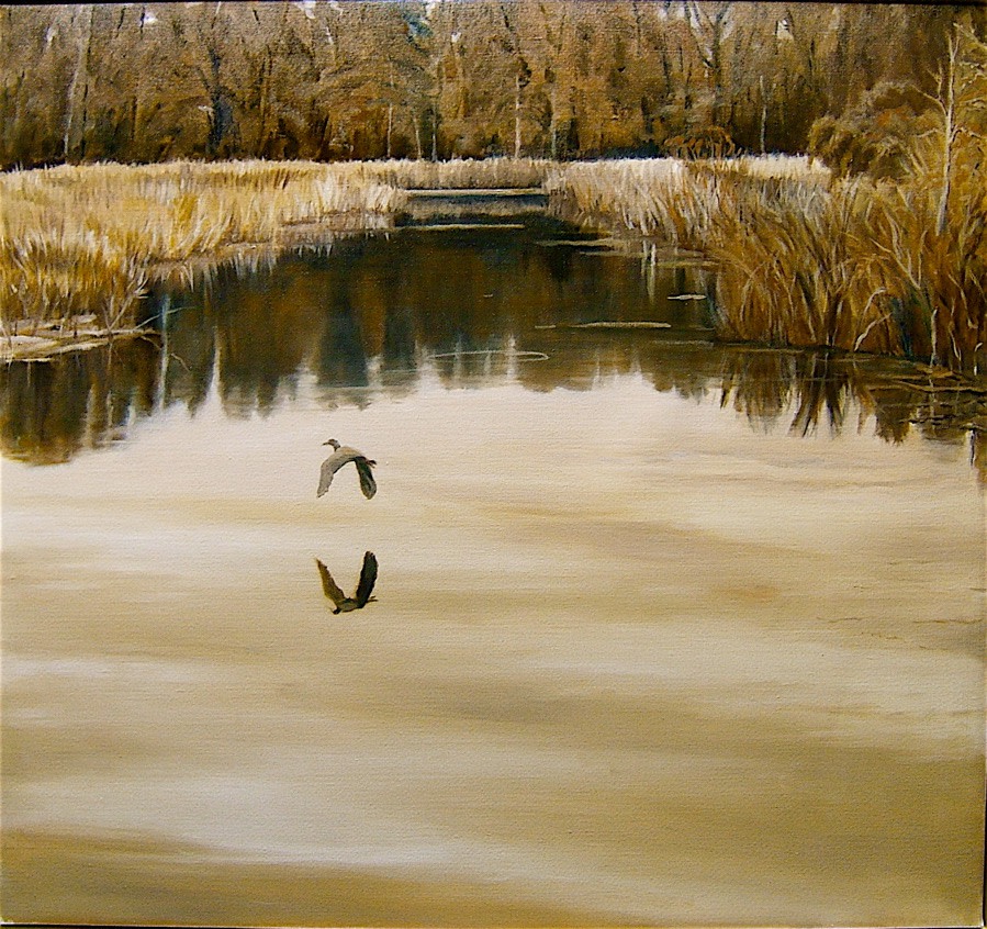 Nissequogue Marsh by Pat Ralph 