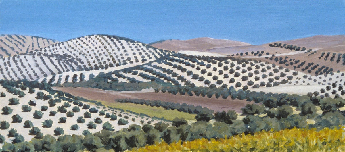 Olive Groves by Pat Ralph 