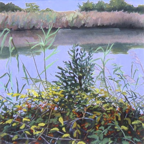On the Bank of the Inlet by Pat Ralph 