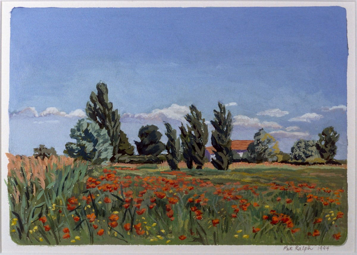 Poppy Field by Pat Ralph 