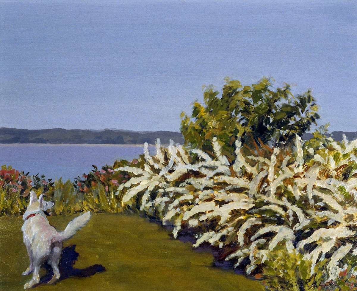 Study for Early Fireworks by Pat Ralph, Image 1.