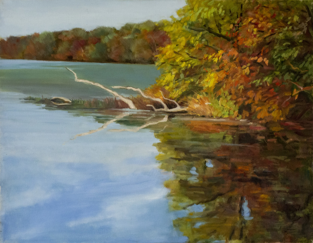 Untitled #292 (Fall Reflections) by Pat Ralph 