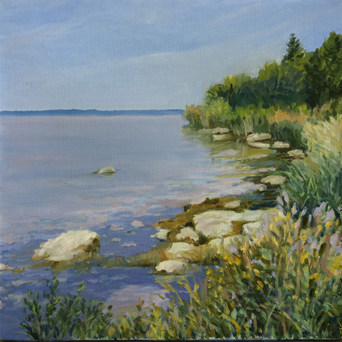 Untitled #319 (Door County Rocky Shore) by Pat Ralph 