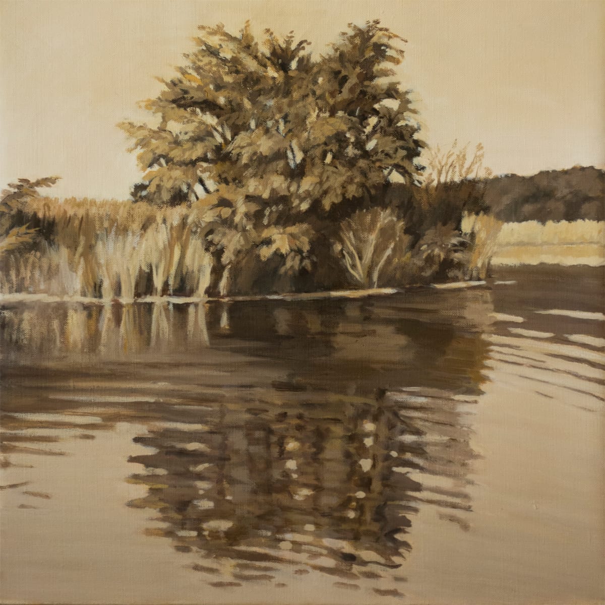 Untitled #330 (Remembering Long Island: Sunken Meadow) 