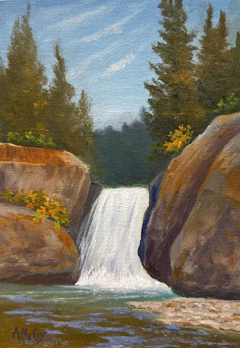 Splash in the Woods by Annie McCoy 