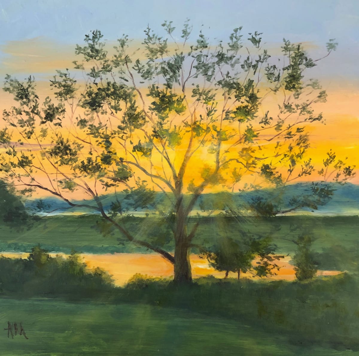 Sunset at Different Drummer Farm by Annie McCoy 