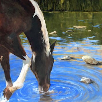 Test the Water by Annie McCoy 