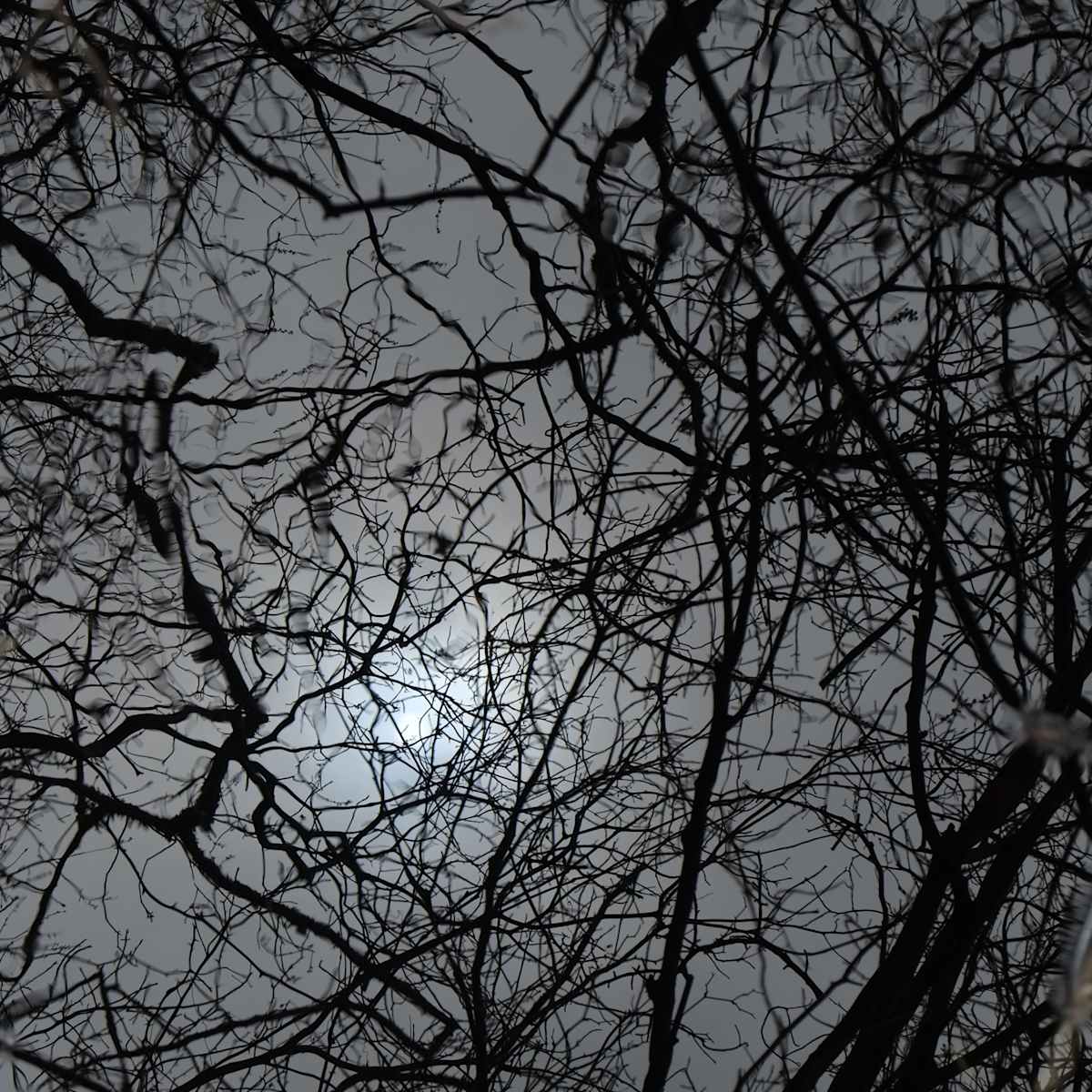 Network 14 by Daniel Kohn, Image 1.