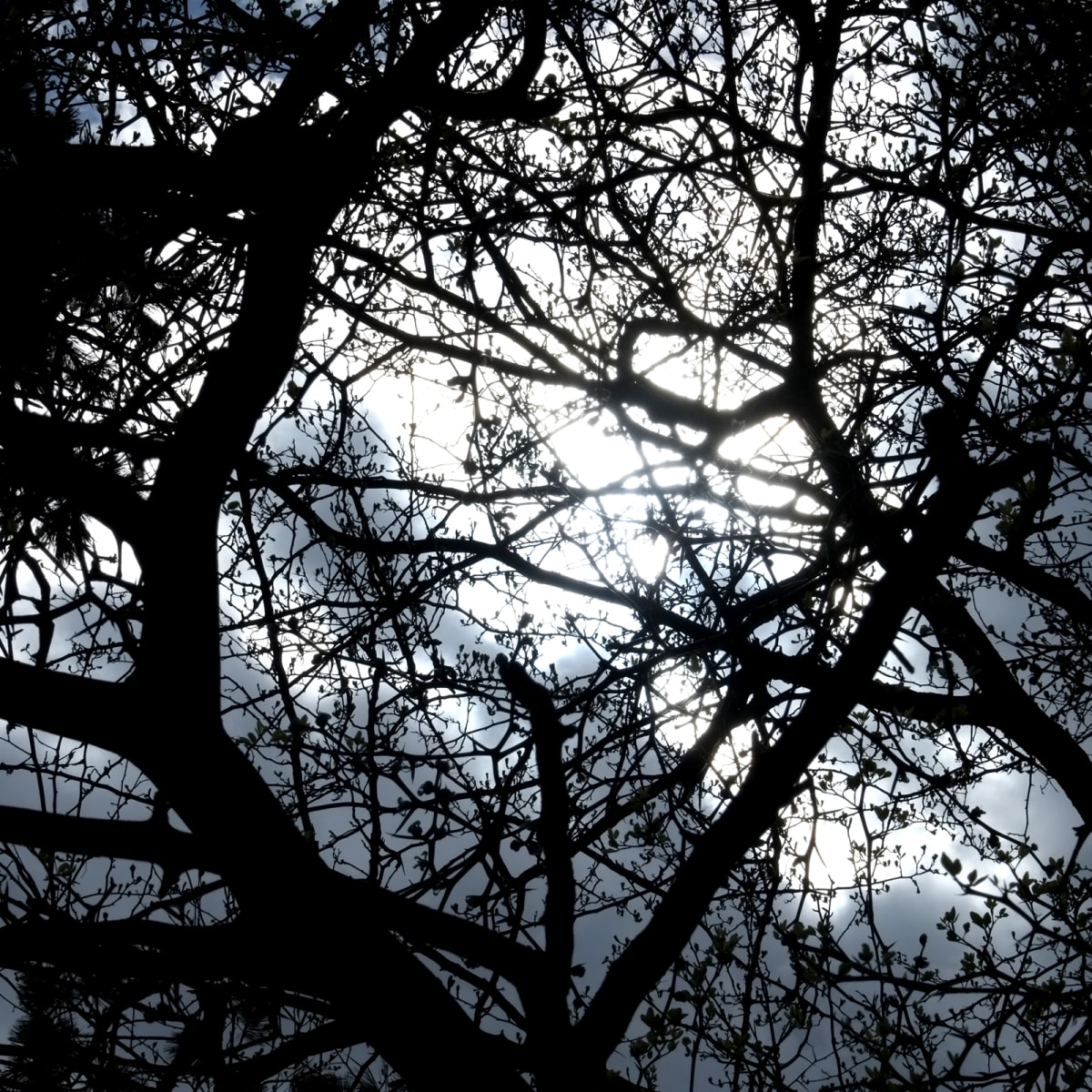 Network 23 v2 by Daniel Kohn 