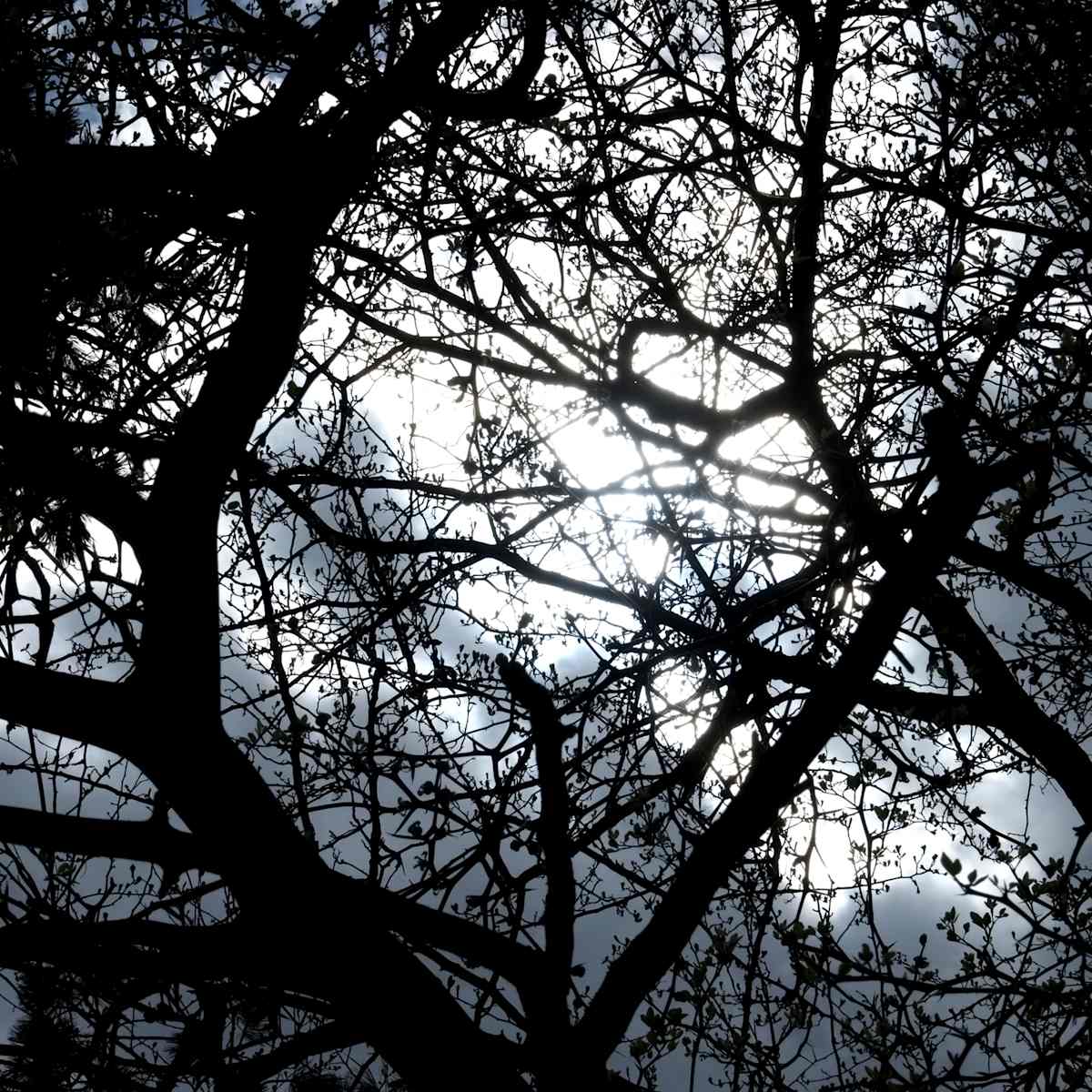 Network 23 v2 by Daniel Kohn, Image 1.