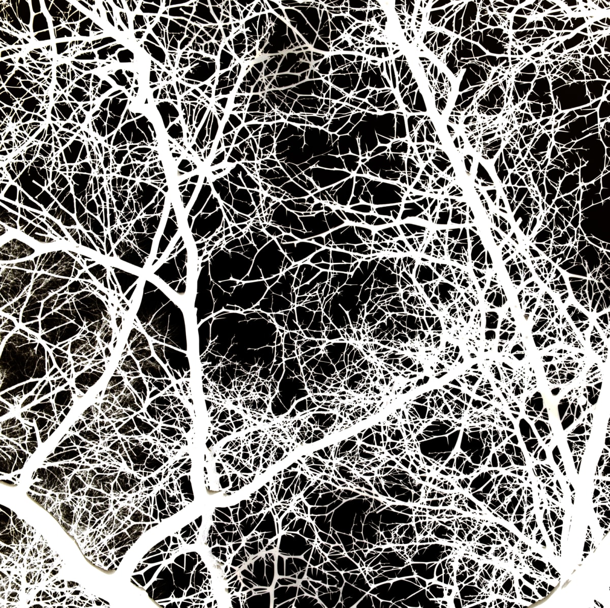 Network 26-HighC-Blue-Print-v2 by Daniel Kohn 