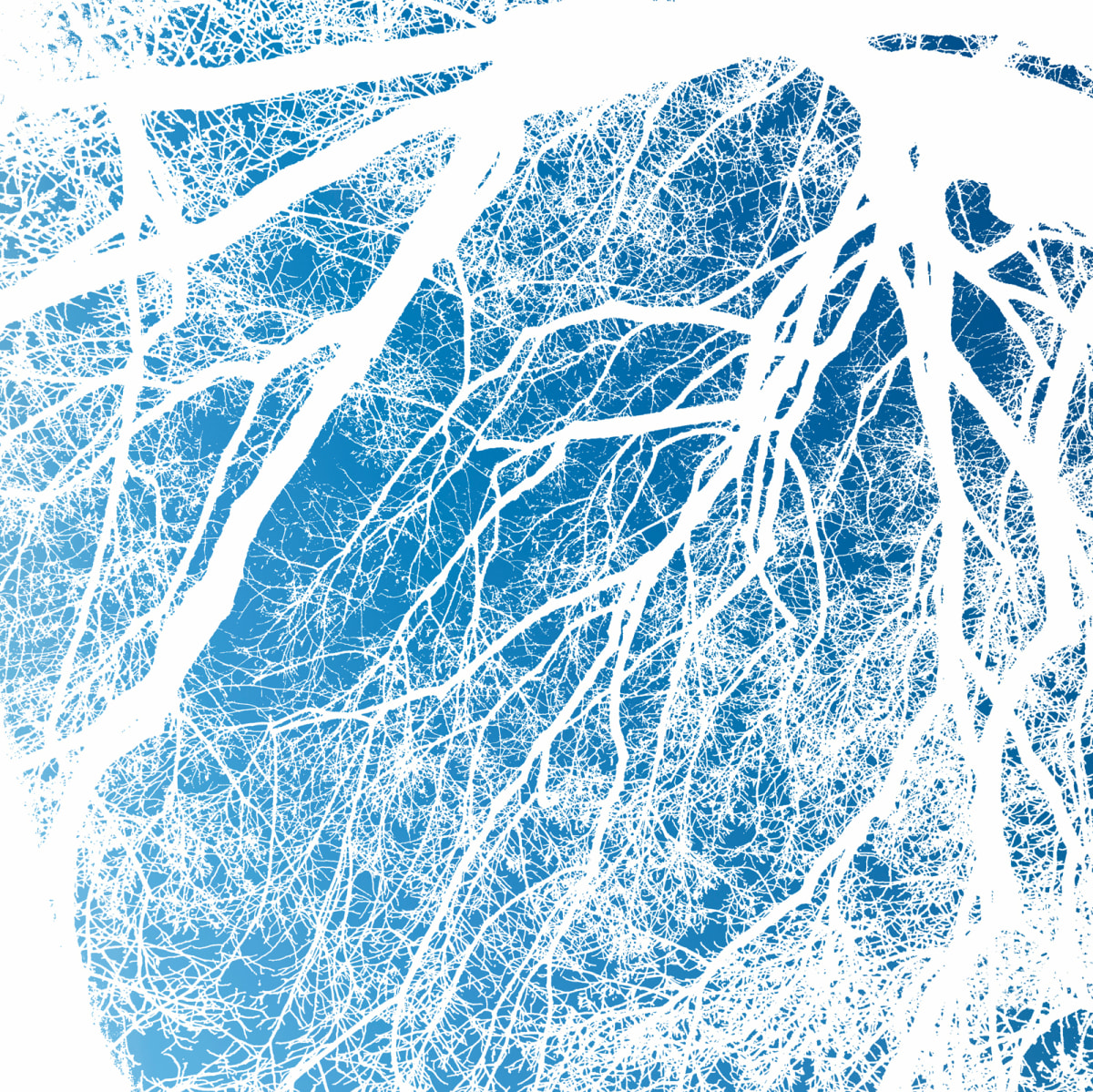 Network_27-v5 by Daniel Kohn 