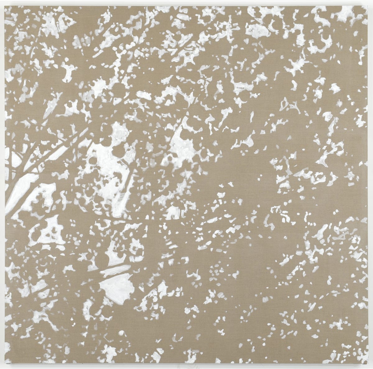 Network 10 by Daniel Kohn 