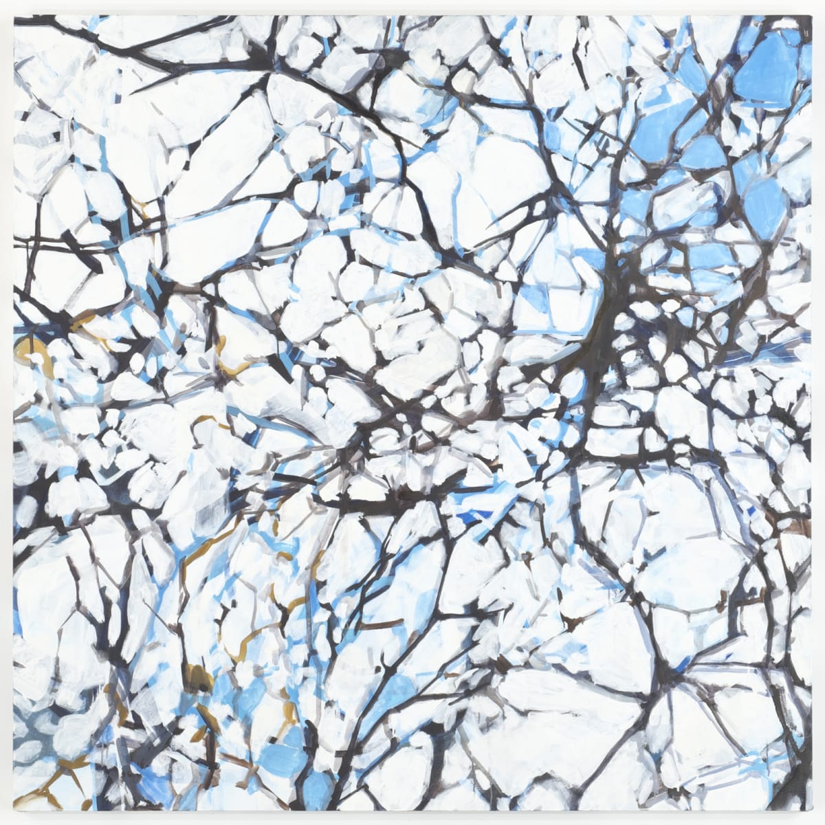 Network 4 by Daniel Kohn 