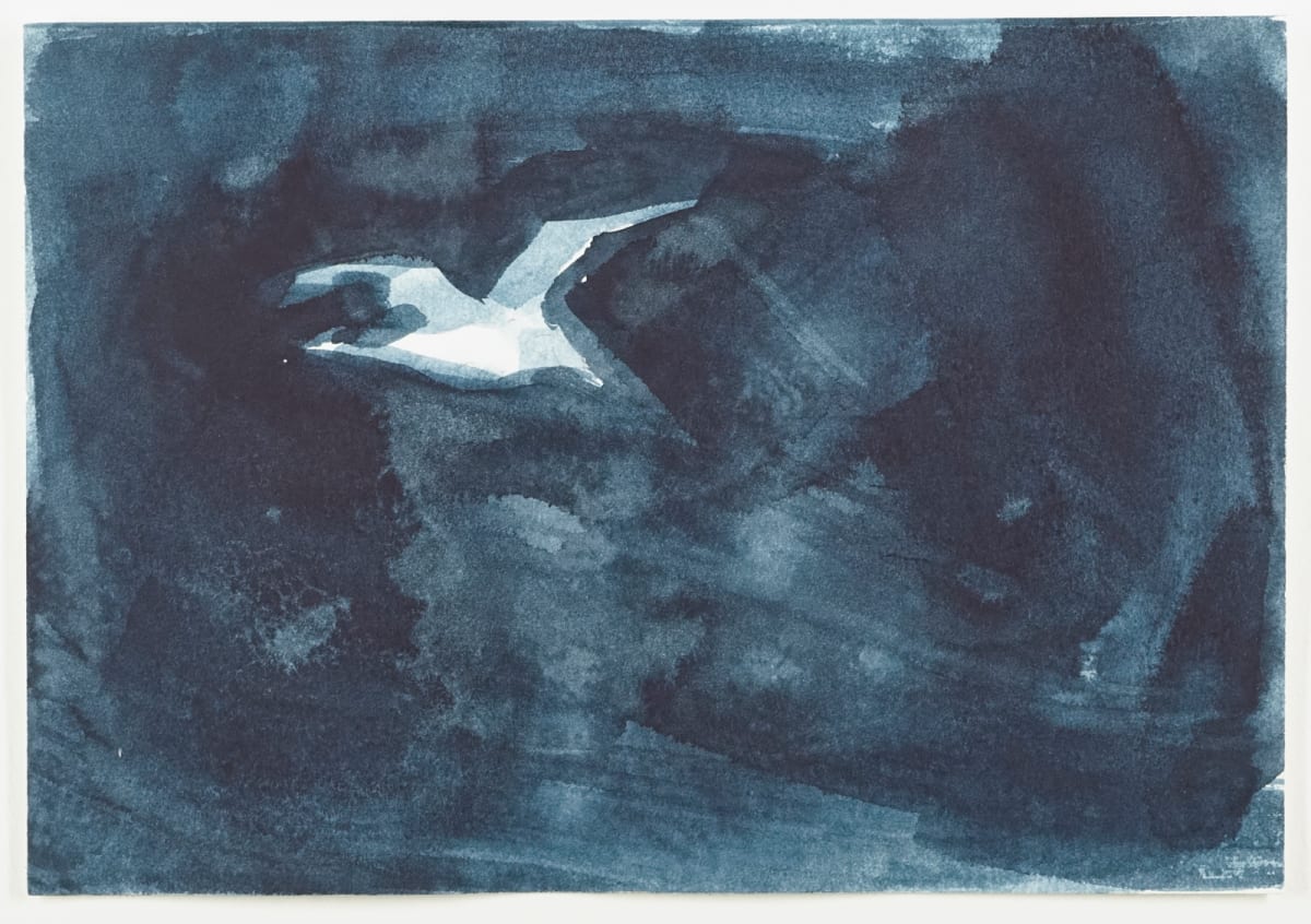 Nautilus Sketch-2017-10-05--02 by Daniel Kohn 