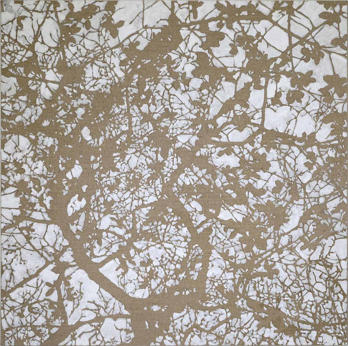 Network 22 by Daniel Kohn, Image 1.