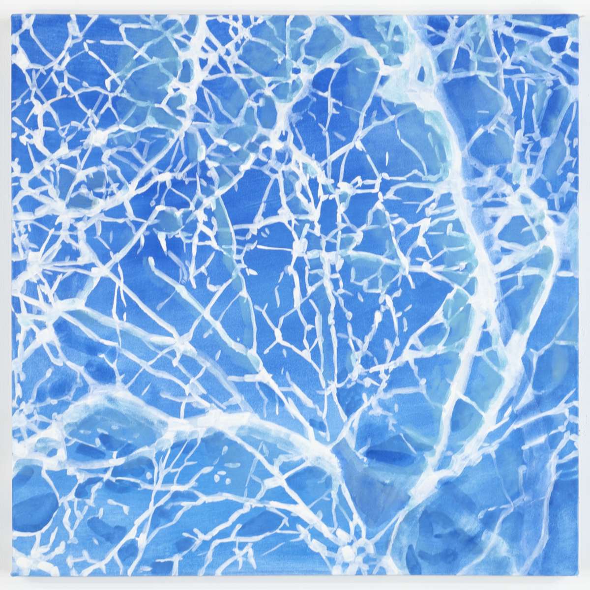 Network 12 by Daniel Kohn, Image 1.