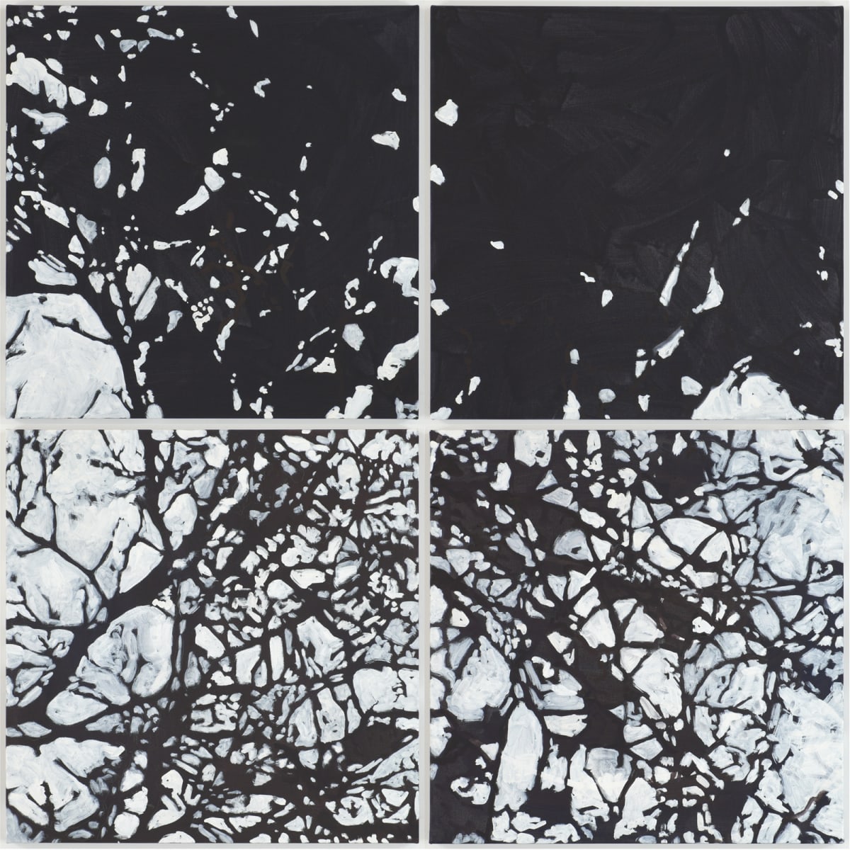 Network 9 1-4 by Daniel Kohn 