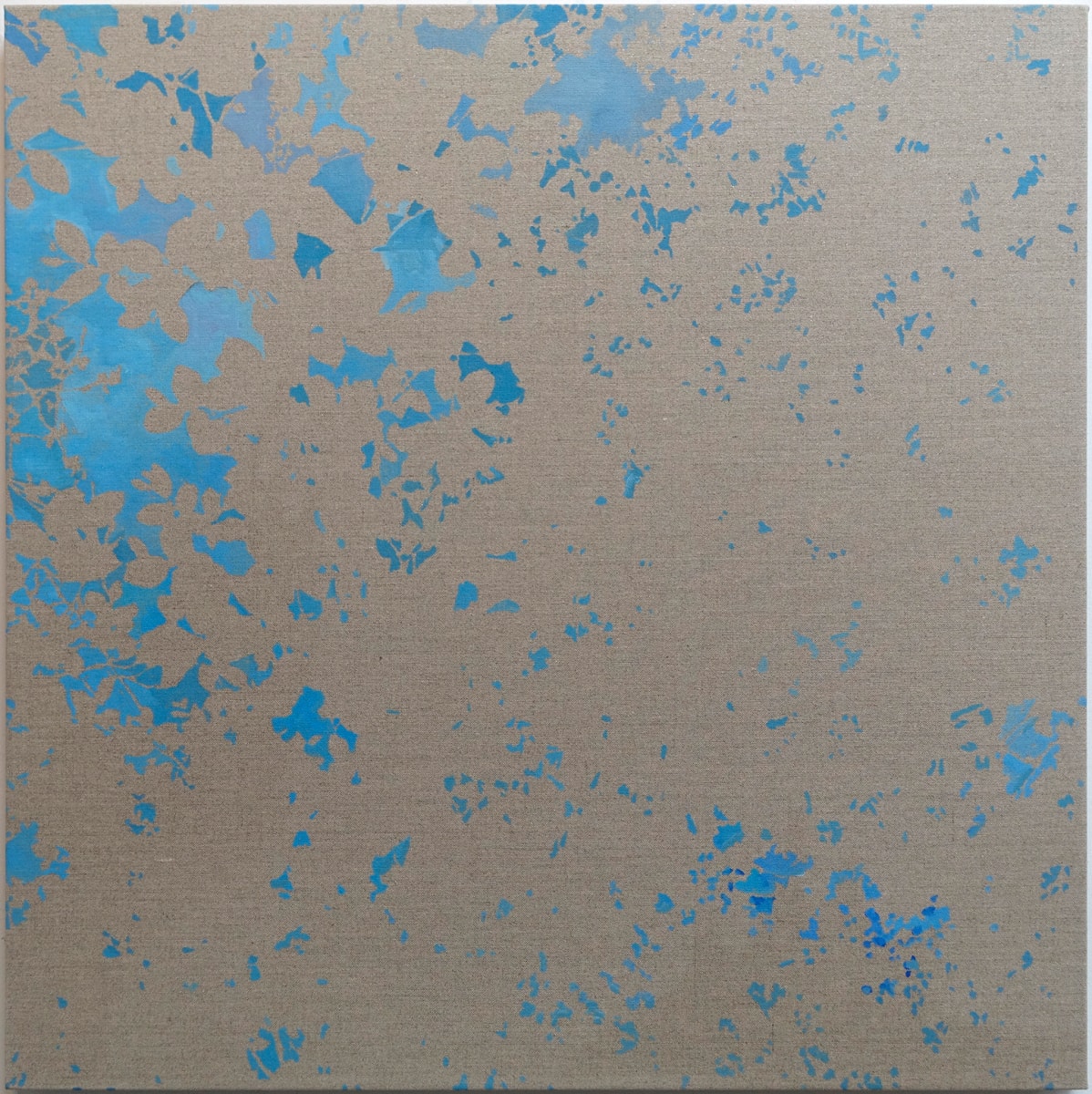 Network 23 by Daniel Kohn 