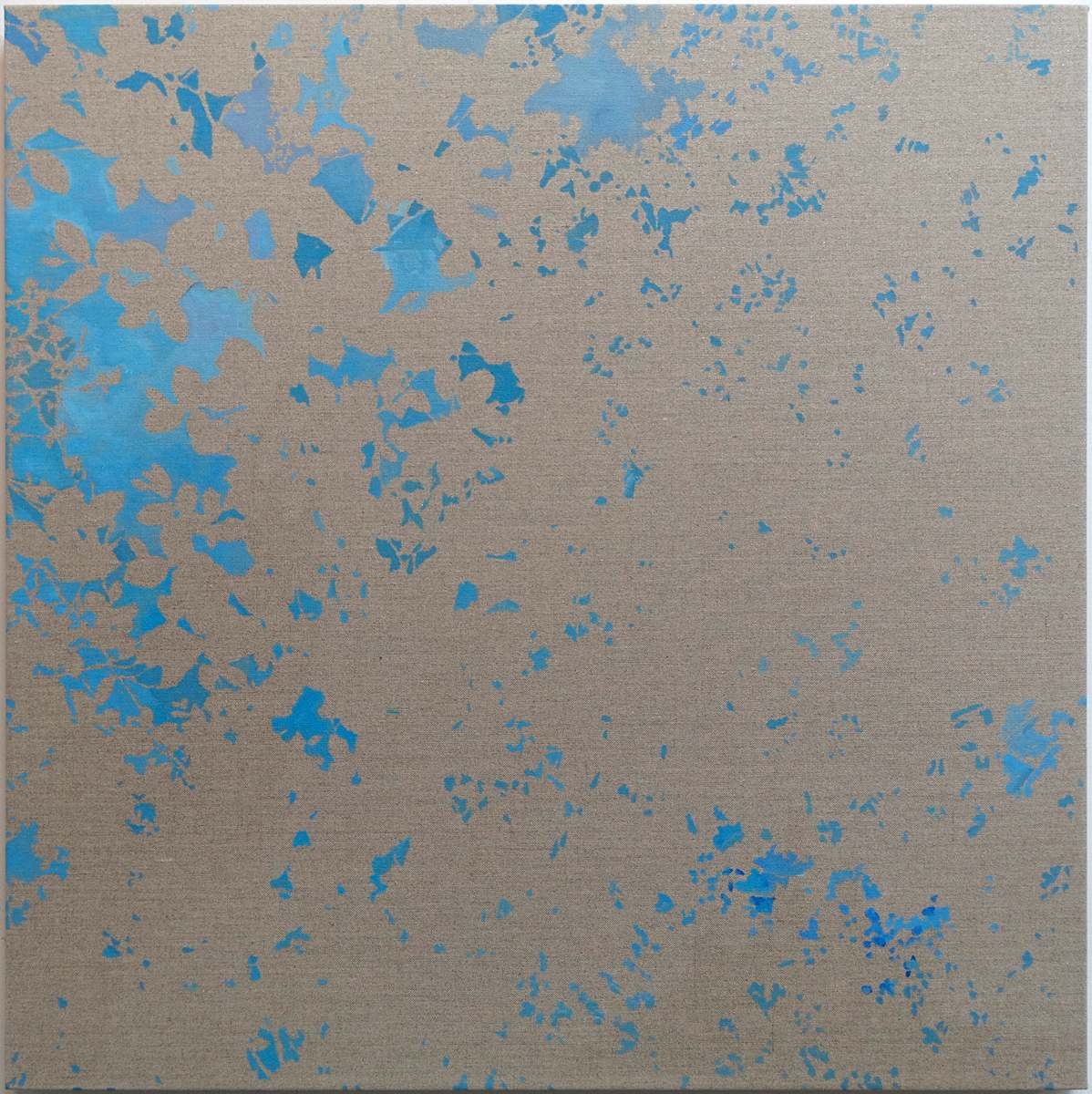 Network 23 by Daniel Kohn, Image 1.