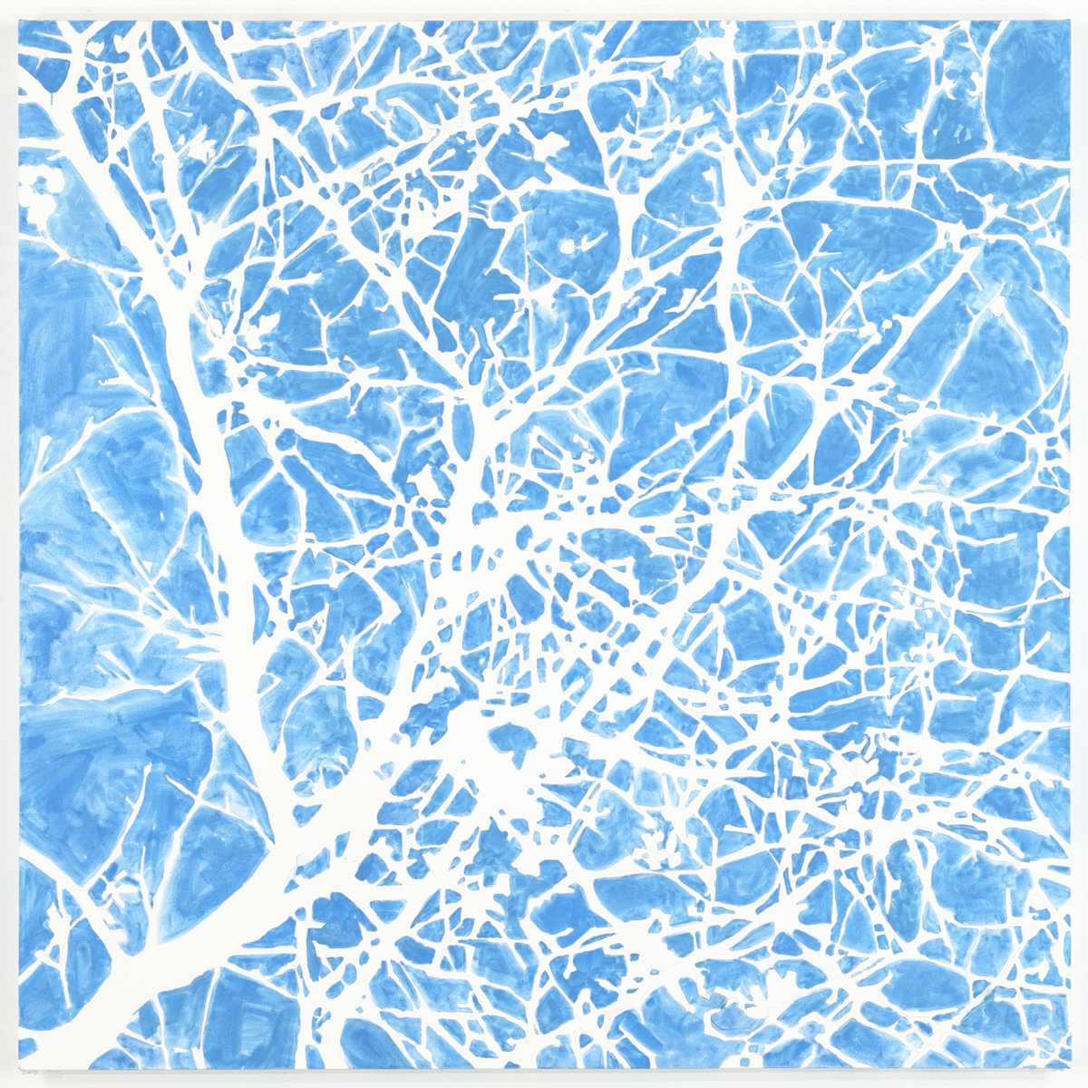 Network 8 by Daniel Kohn, Image 1.