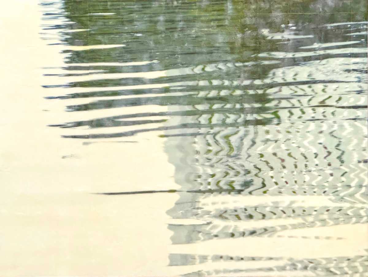 Mallard's Dream I by Barbara Hocker 