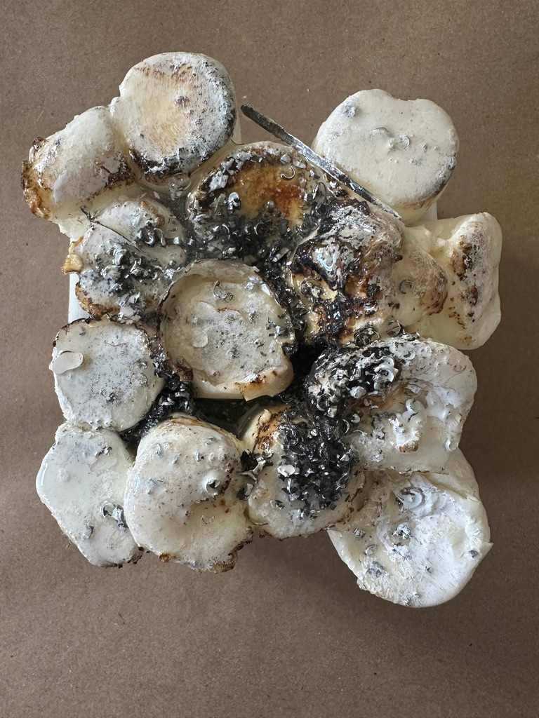 Mini-bites 4 by Connie Noyes, Image 2.