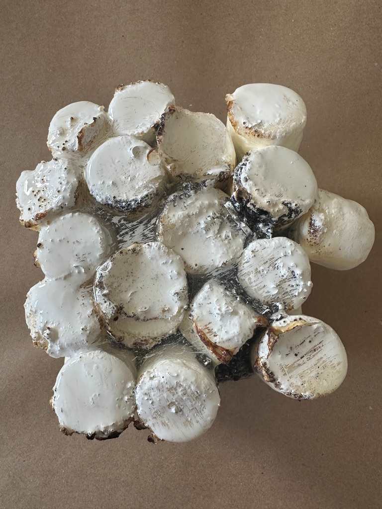 Mini-bites 1 by Connie Noyes 