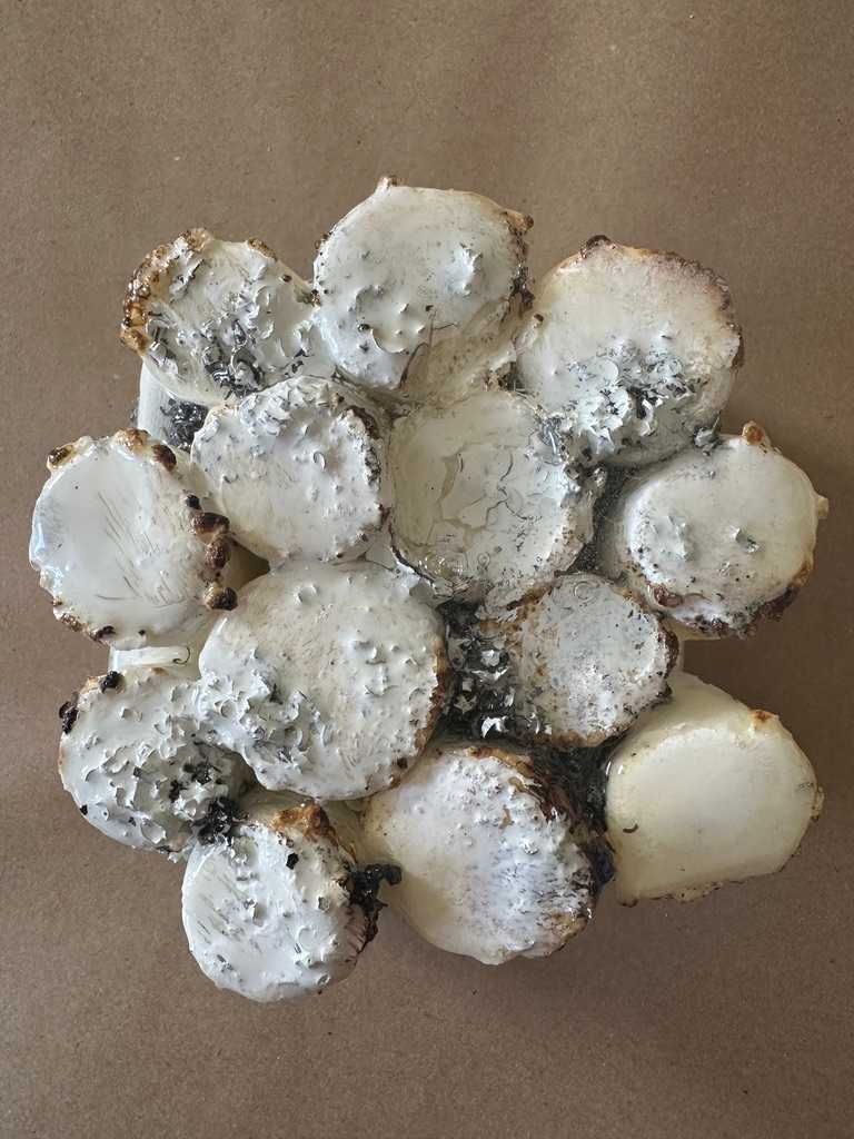 Mini-bites 5 by Connie Noyes 