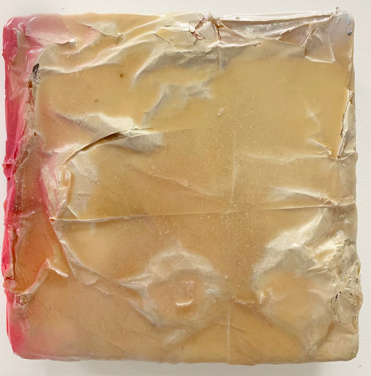 Her Skin Resembled by Connie Noyes 