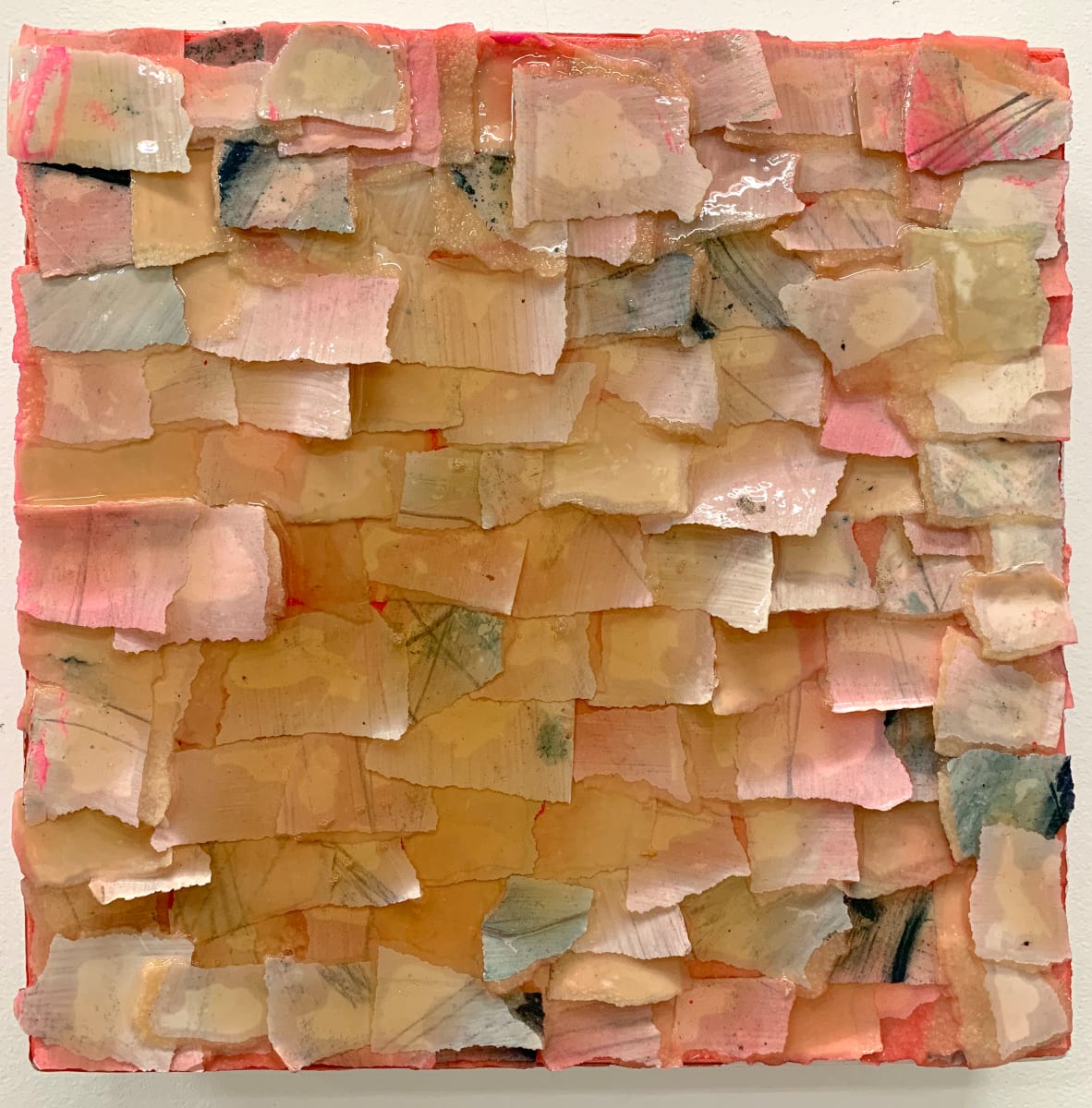 Many things lined in rows, Pink by Connie Noyes 