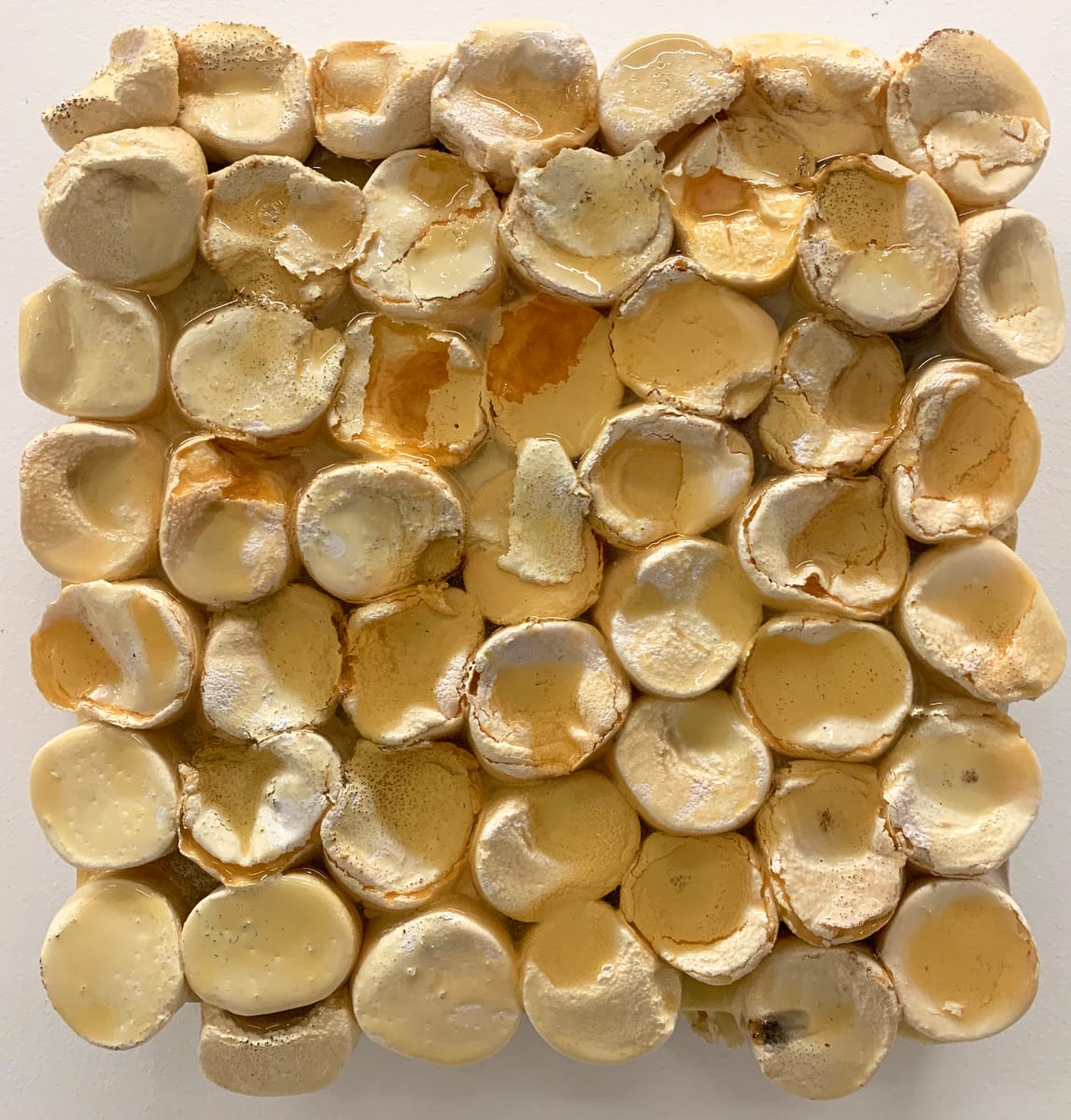 Marshmallow, white, No. 2 by Connie Noyes, Image 6.