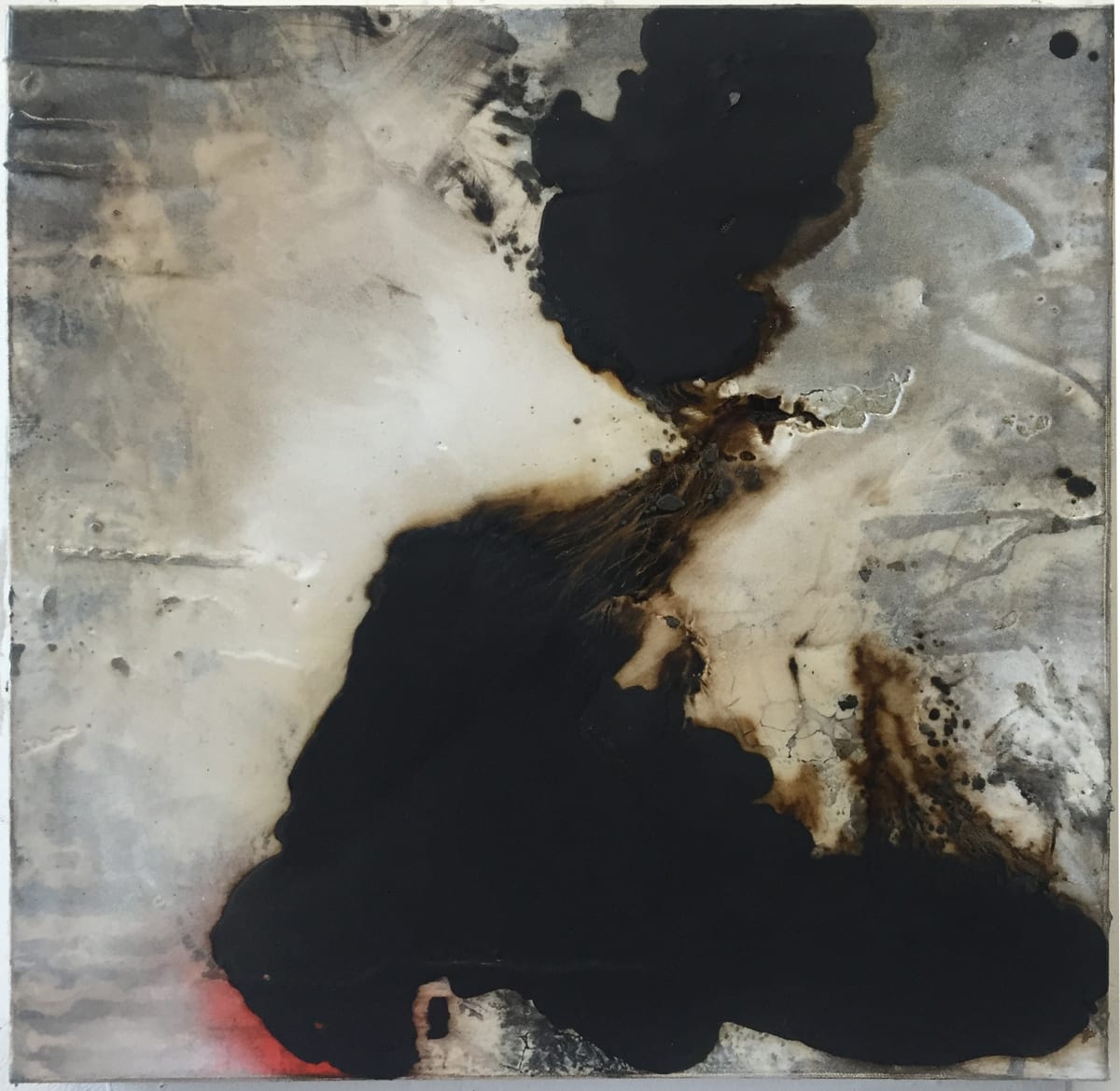 Transcience, No. 2 by Connie Noyes, Image 1.