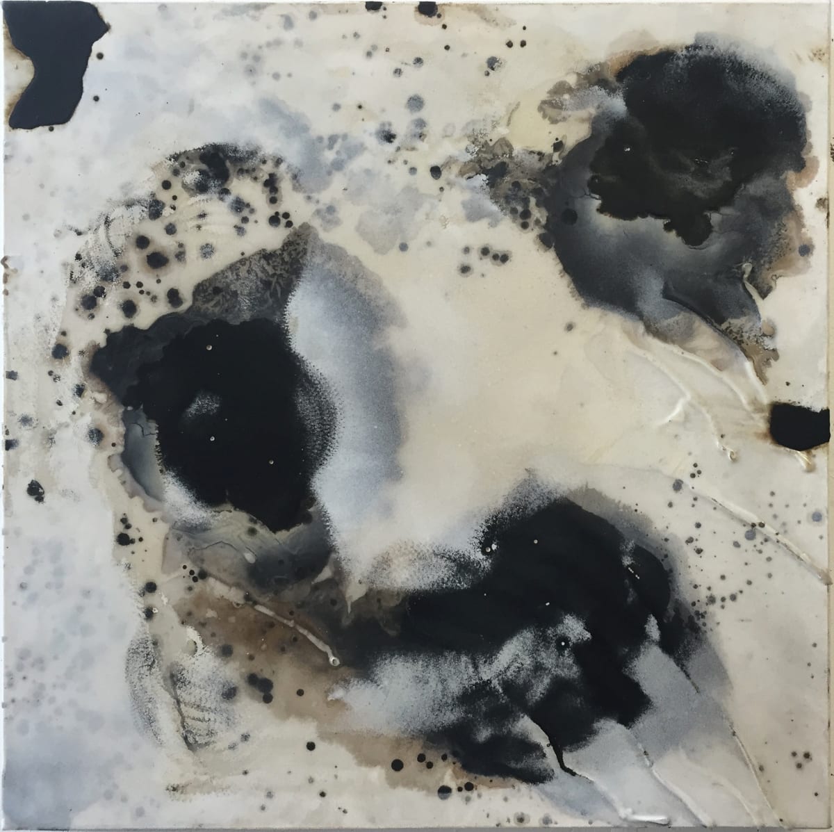 Transcience, No. 3 by Connie Noyes, Image 1.