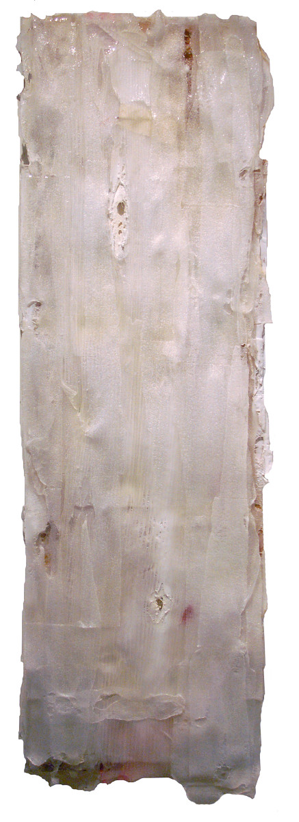 Reveal by Connie Noyes 