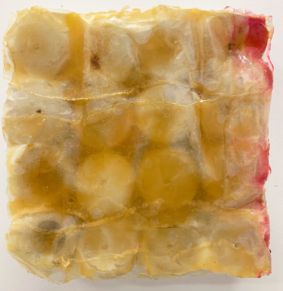 Requiem for Vanilla by Connie Noyes 