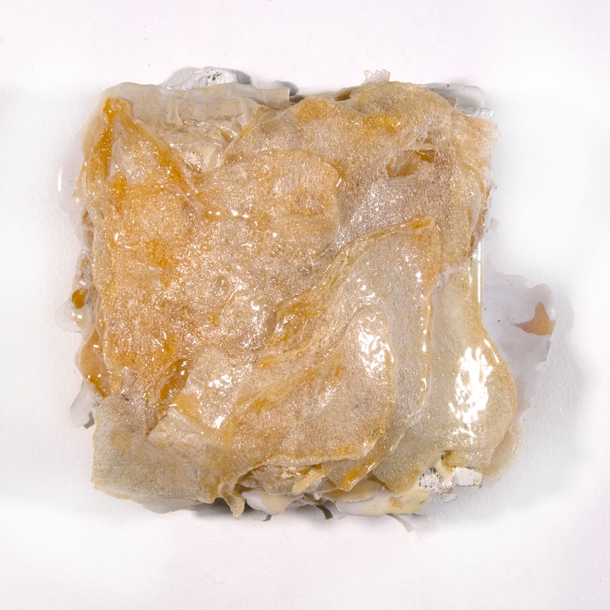 le désordre des choses, no. 44 by Connie Noyes 