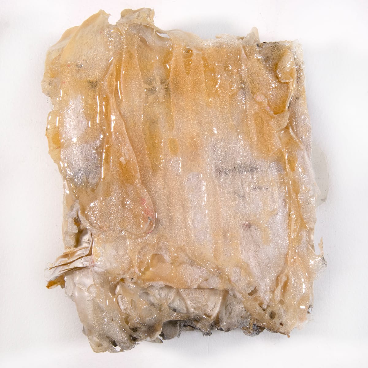 Envelop me no. 2 by Connie Noyes 