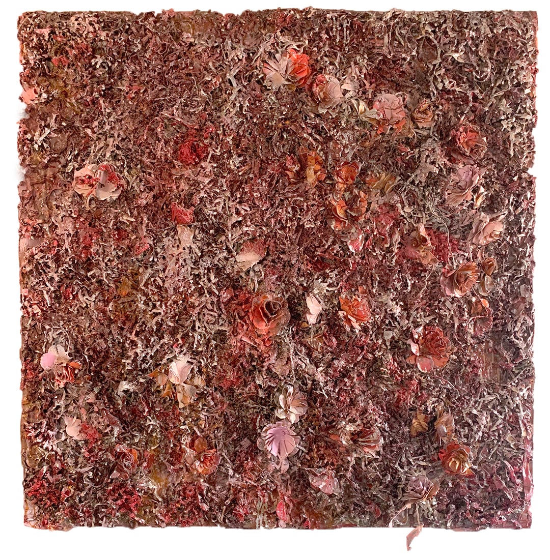 I never promised you______. by Connie Noyes 