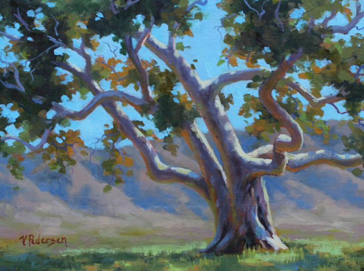 Summer Sycamore by Vicki Pedersen 