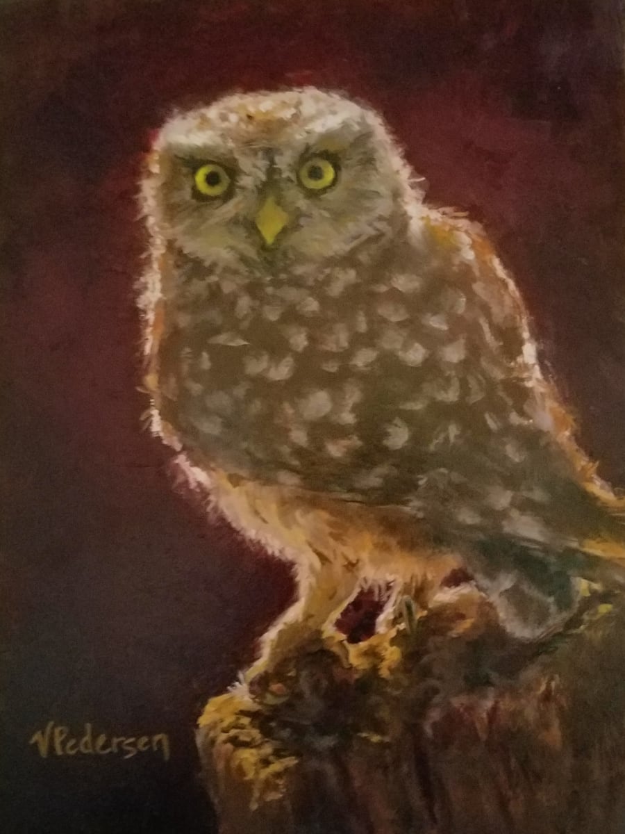 Watcher by Vicki Pedersen, Image 1.