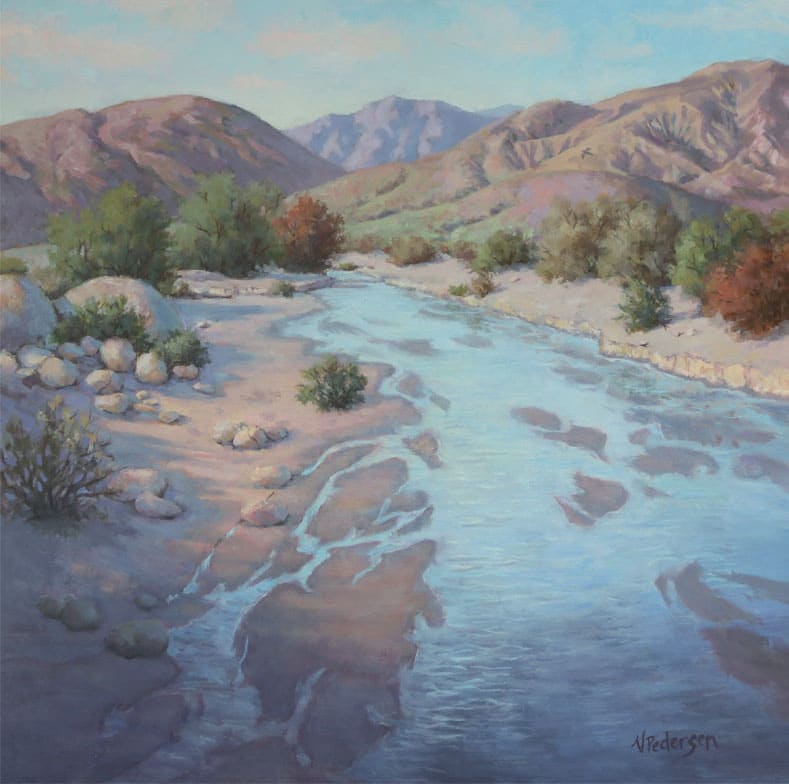 After the Rains - Anza Borrego Desert by Vicki Pedersen 