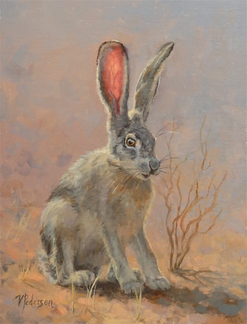 Desert Hare by Vicki Pedersen 