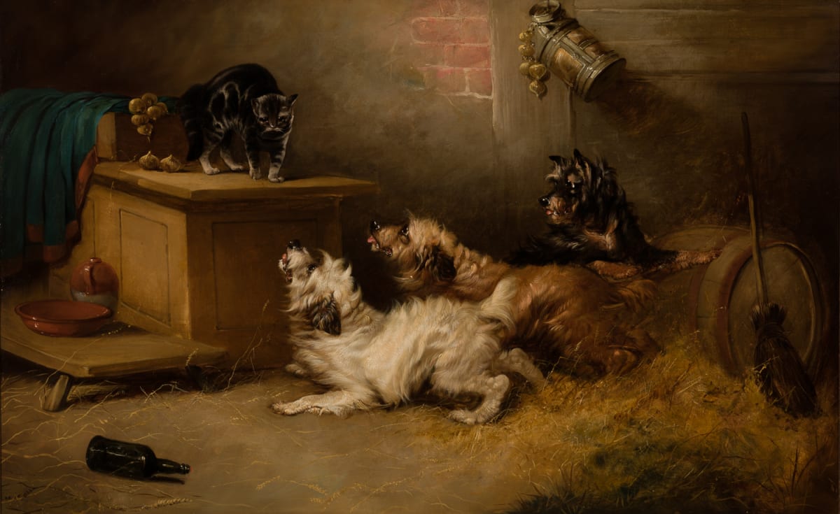 Antagonizing the Barn Cat by George Armfield 