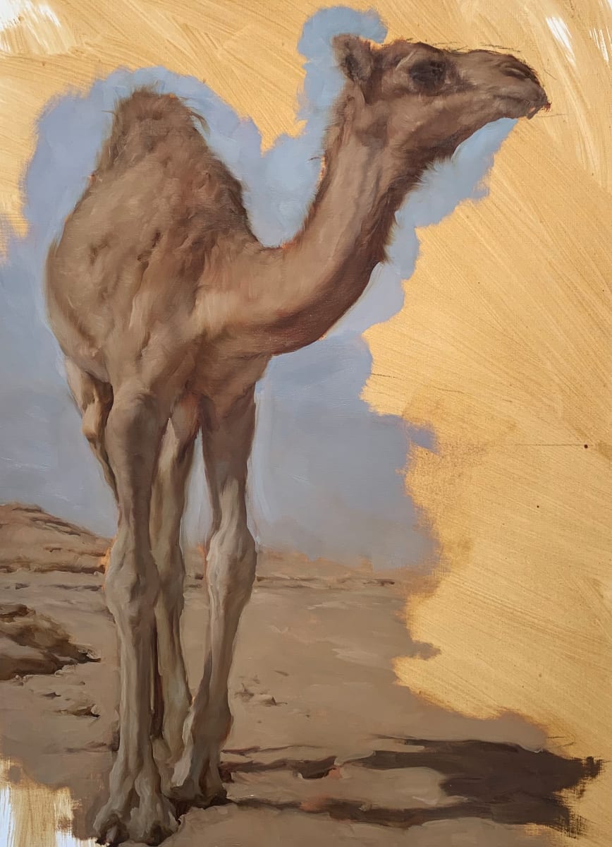 Camel by Mike Austin 