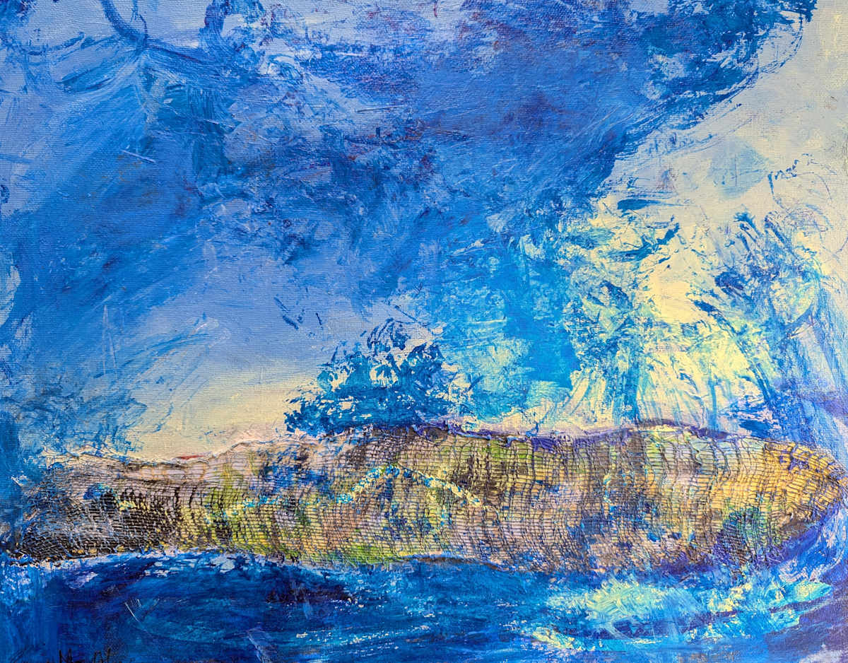 Meshed Coast by Eamon McAteer  Image: framed 