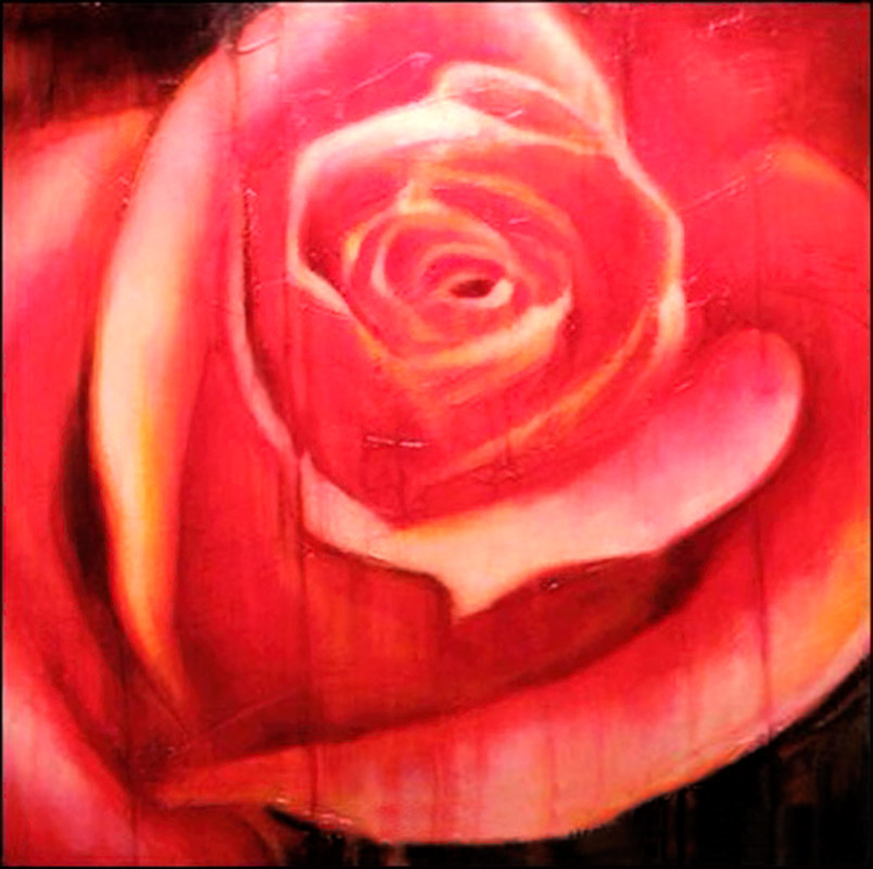 Red Rose by Robert Scott Chiarella 