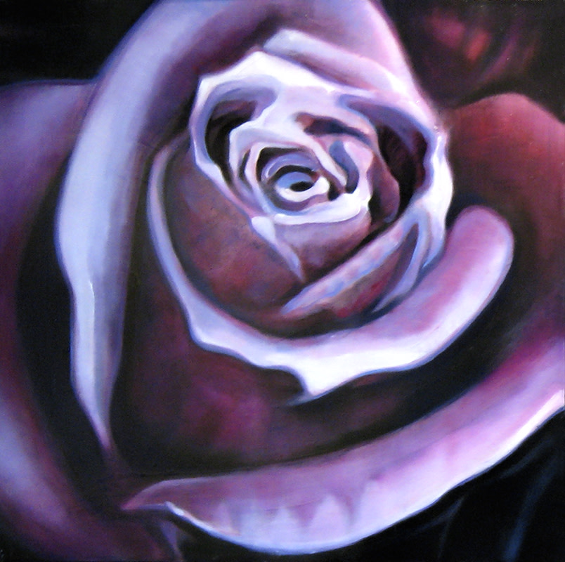 Purple Rose by Robert Scott Chiarella 